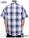 1000 S/S Plaid White Base : White_Royal
