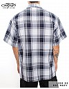 1000 S/S Plaid White Base : White_Navy
